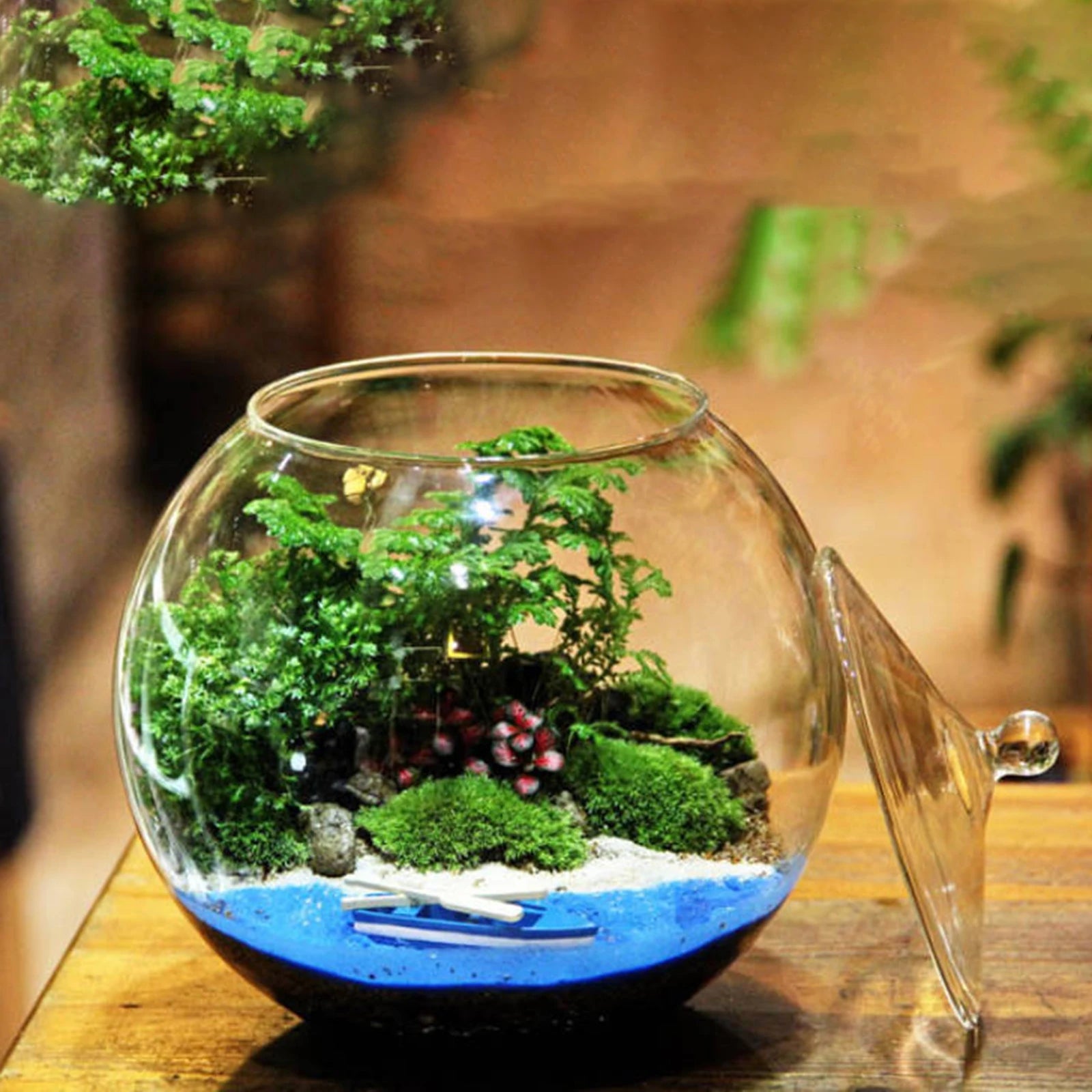Glass Terrarium Jar DIY Centerpiece Sealed Storage Jar Plants Planter Jar for Desktop Living Room Kitchen Bedroom Coffee