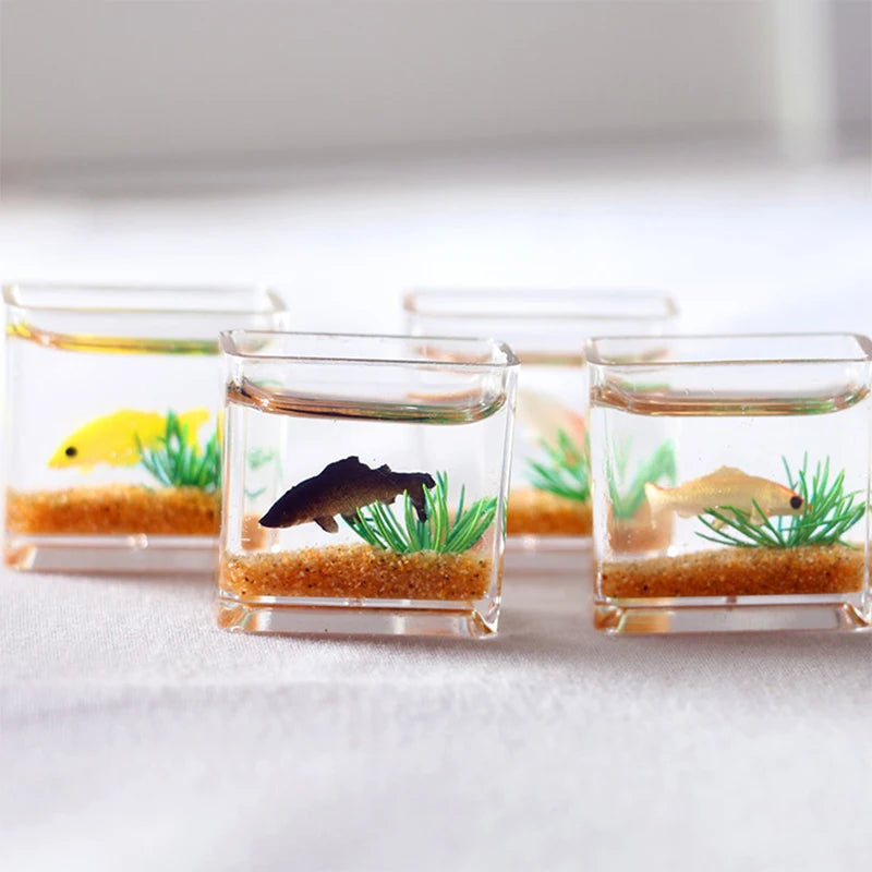 Aquarium minis