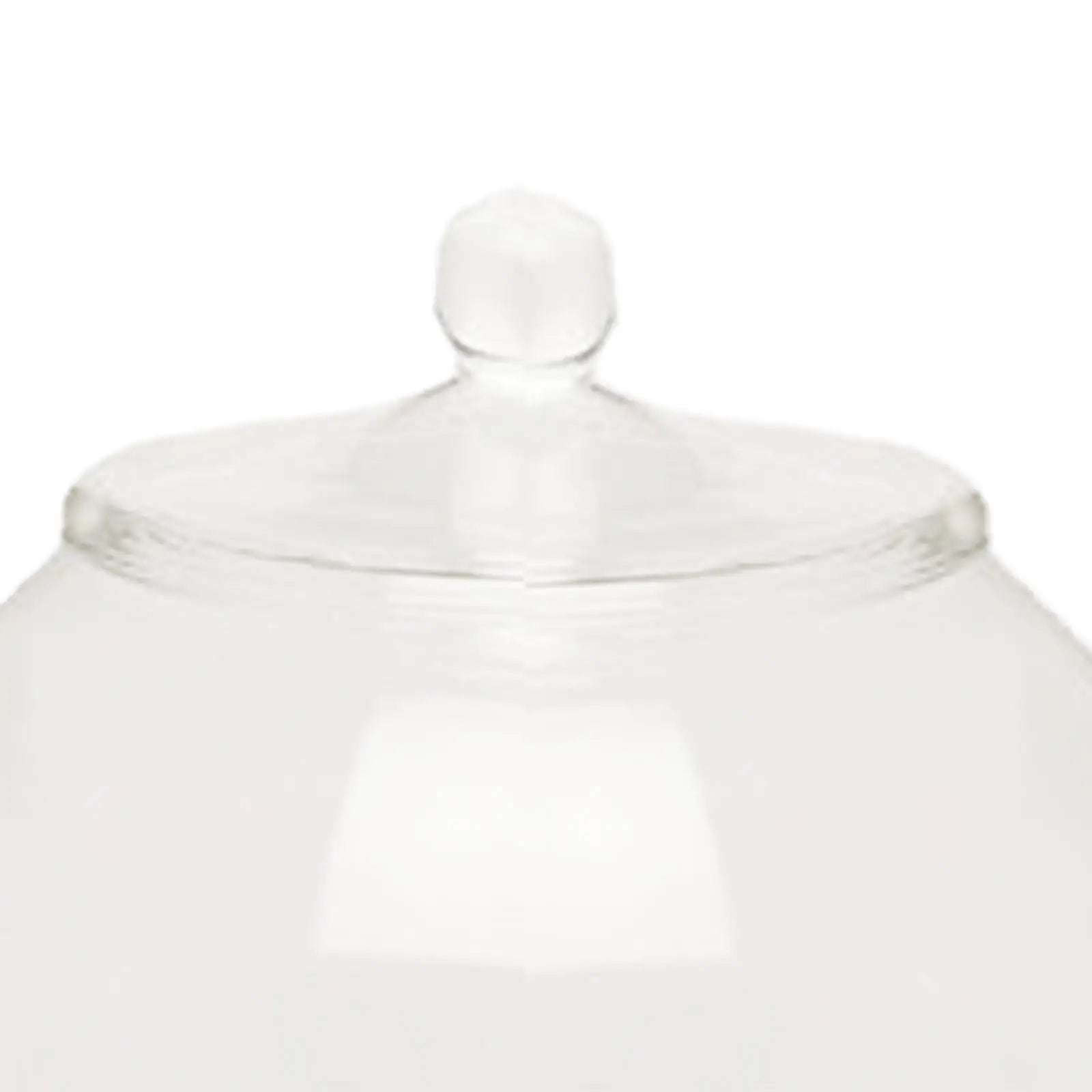 Glass Terrarium Jar DIY Centerpiece Sealed Storage Jar Plants Planter Jar for Desktop Living Room Kitchen Bedroom Coffee